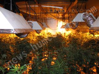 Growing pot indoors can be affected by power outages