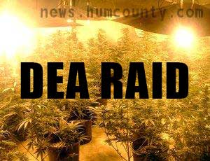 Arcata is facing DEA raids humboldt county