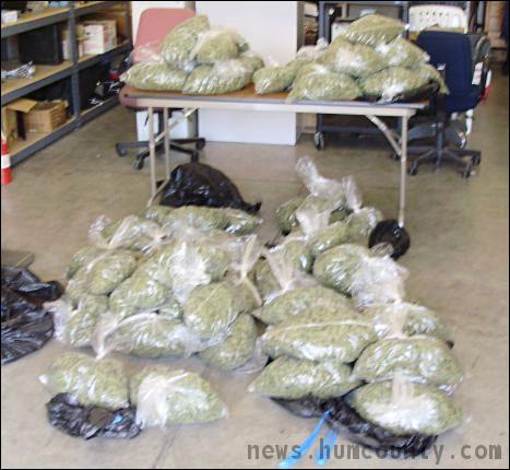 Cops seize 45 pounds of pot from woman's car