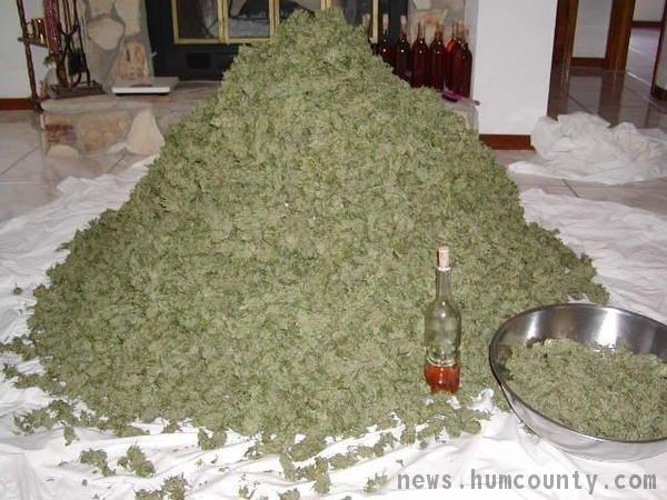 Pile Of Pot